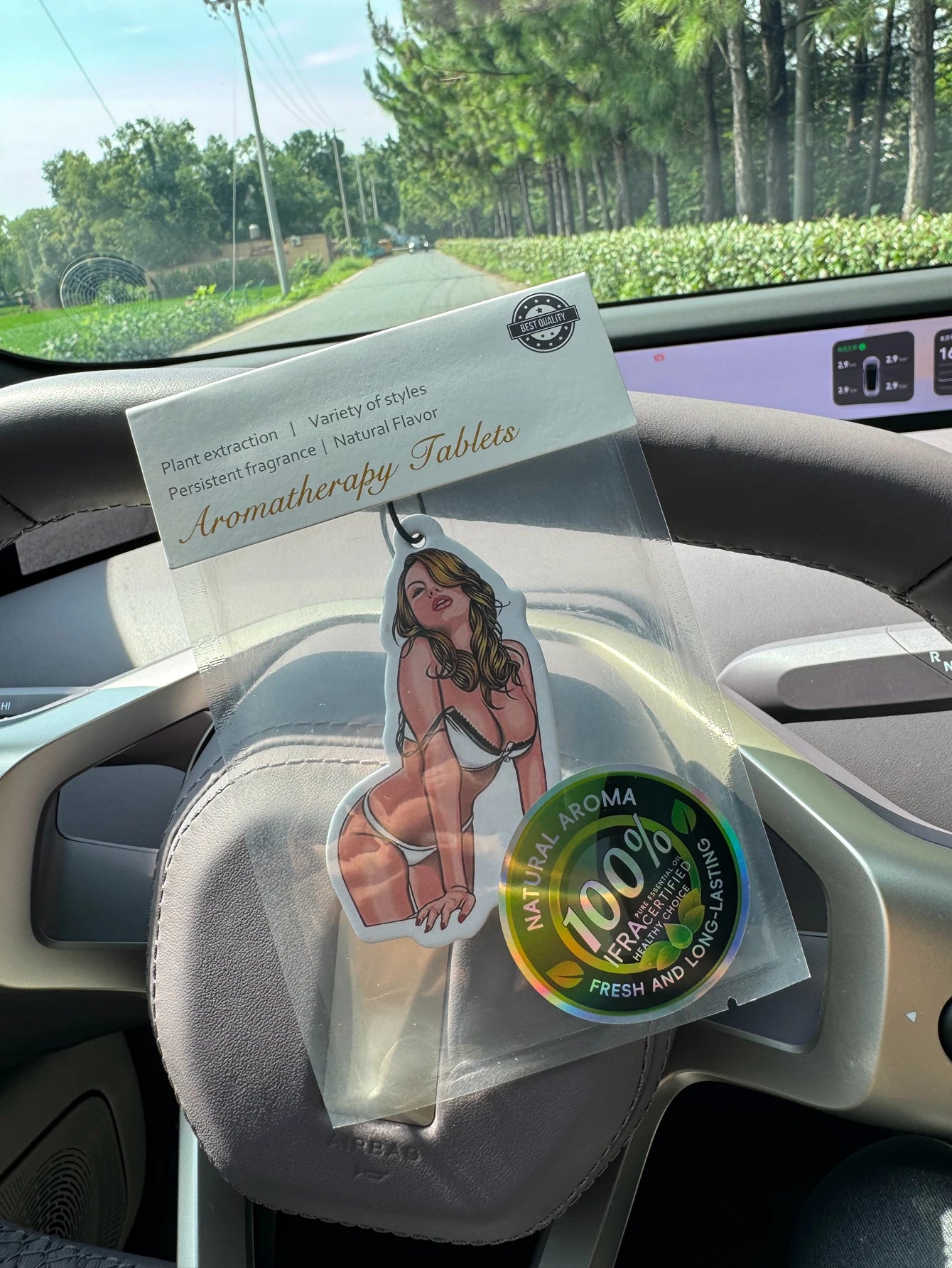 Bikini Girl Car Air Freshener
